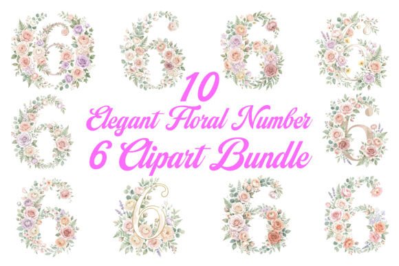 Elegant Floral Number 6 Clipart Bundle: A Practical Evaluation