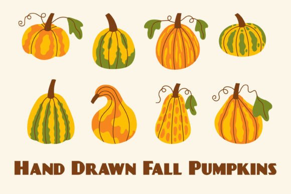 Hand Drawn Fall Pumpkins PNG Clipart