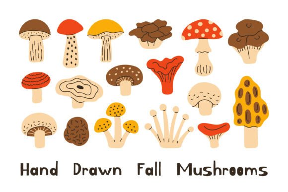 Hand Drawn Forest Mushrooms PNG Clipart: A Guide to Quality and Usability