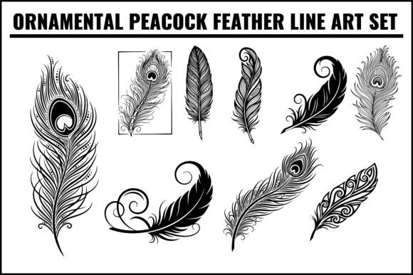 Ornamental Peacock Feather Line Art Set: A Versatile Resource for Modern Design