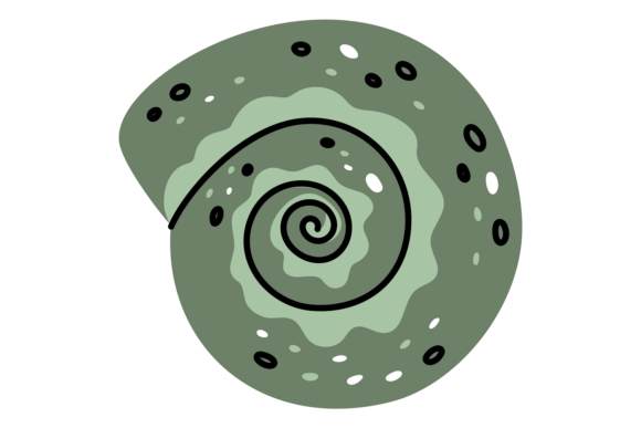 Understanding the Green Tropical Spiral Seashell: A Guide to Mollusk Forms and Applications