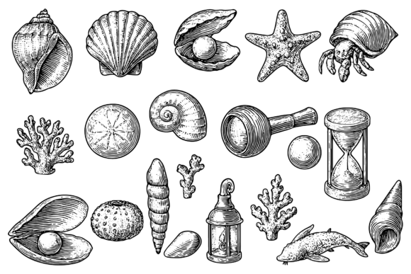 Vintage Sea Life Engraving Set: A Timeless Resource for Modern Design